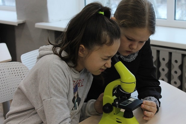 Что узнали пятиклассники на уроке с цифровым микроскопом.